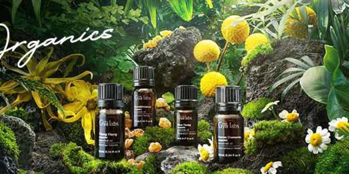 Why You Should Buy Pure Essential Oils from Gyalabs