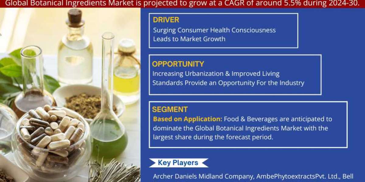 Global Botanical Ingredients Market 2024-2030: Share, Size, Industry Analysis, Growth Drivers, Innovation, and Future Ou