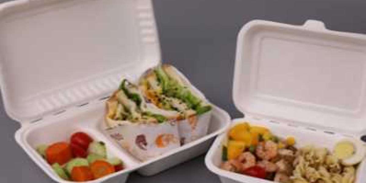 Bagasse Containers: An Eco-Friendly Solution for Household Food Storage