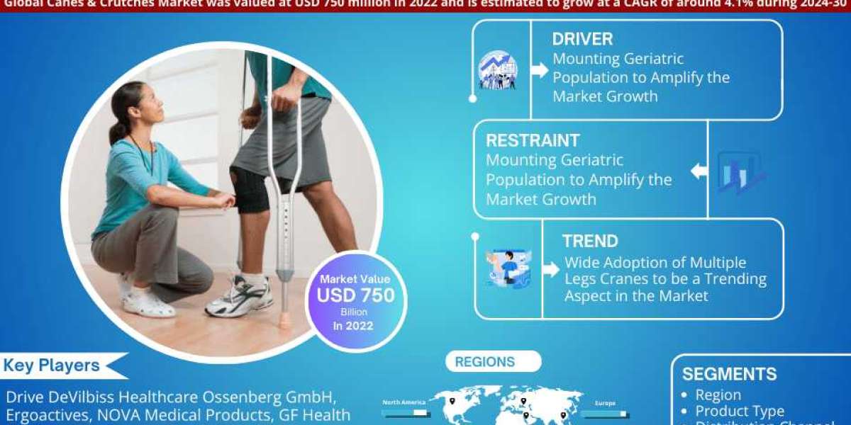 Global Canes & Crutches Market Trend, Size, Share, Trends, Growth, Report and Forecast 2024-2030