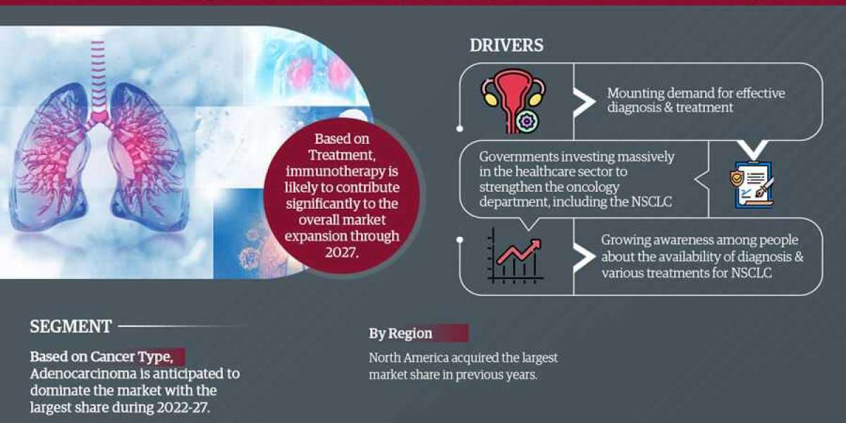 Global Non-Small Cell Lung Cancer Market Revolution: A Comprehensive Guide to Trends, Challenges, and Opportunities