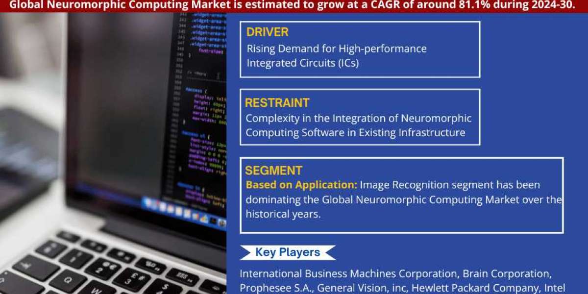 Global Neuromorphic Computing Market Trend, Size, Share, Trends, Growth, Report and Forecast 2024-2030