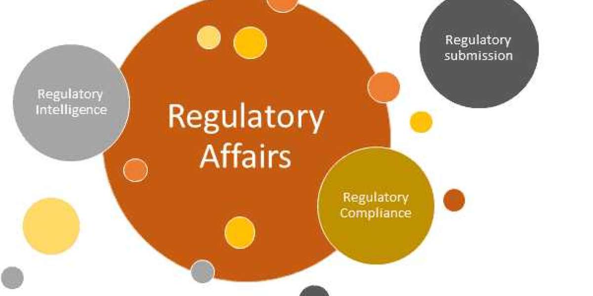 Exploring a Regulatory Affairs Course: Curriculum and Essential Skills