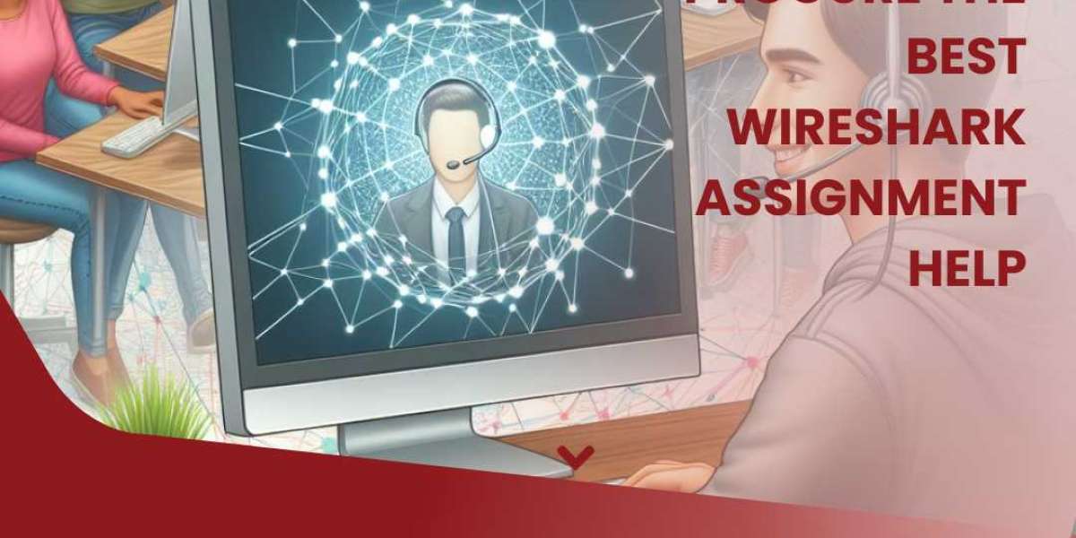 Your Path to Network Mastery: Wireshark Assignment Help Available