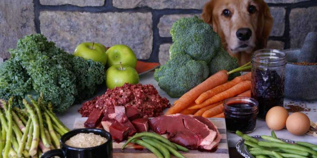 Pet Food Processing Market Growth Factors, Latest Rising Trend & Forecast to 2031