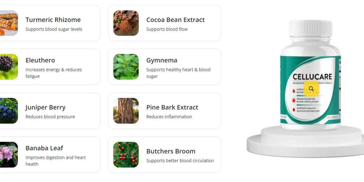 CELLUCARE Blood Sugar Support Reviews - Check The Benefits And Side-Effects!