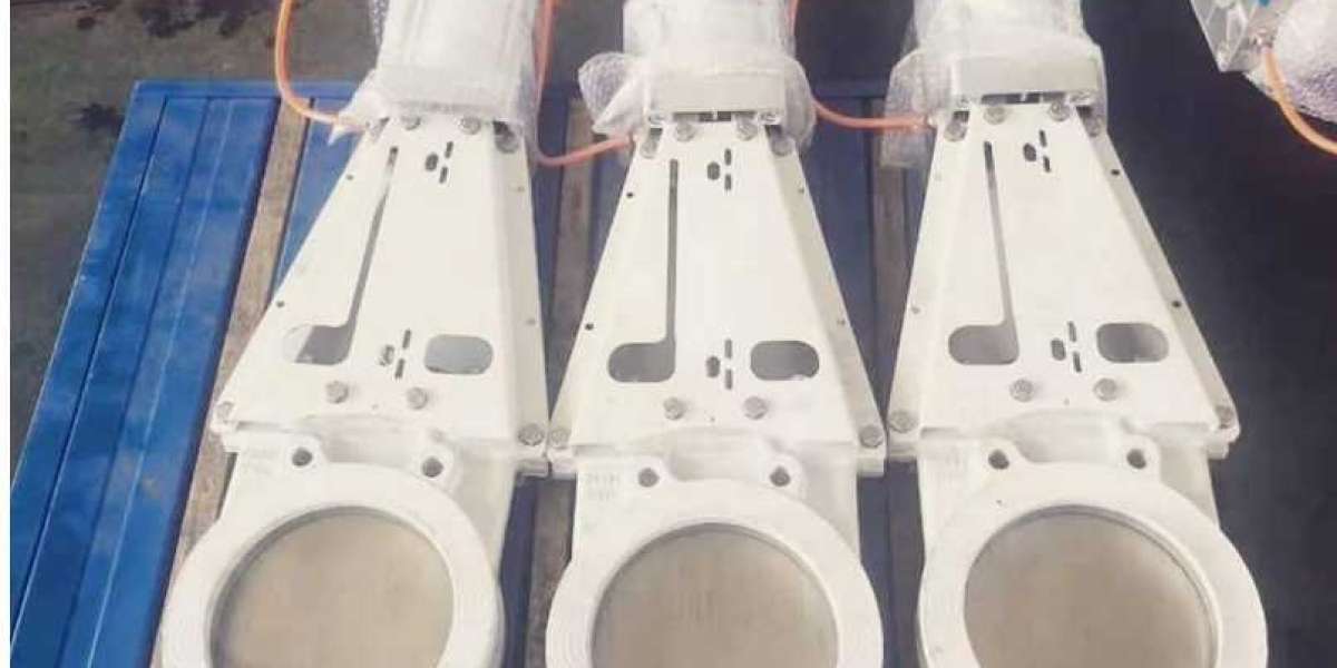 Knife Gate Valve Manufacturer in Germany