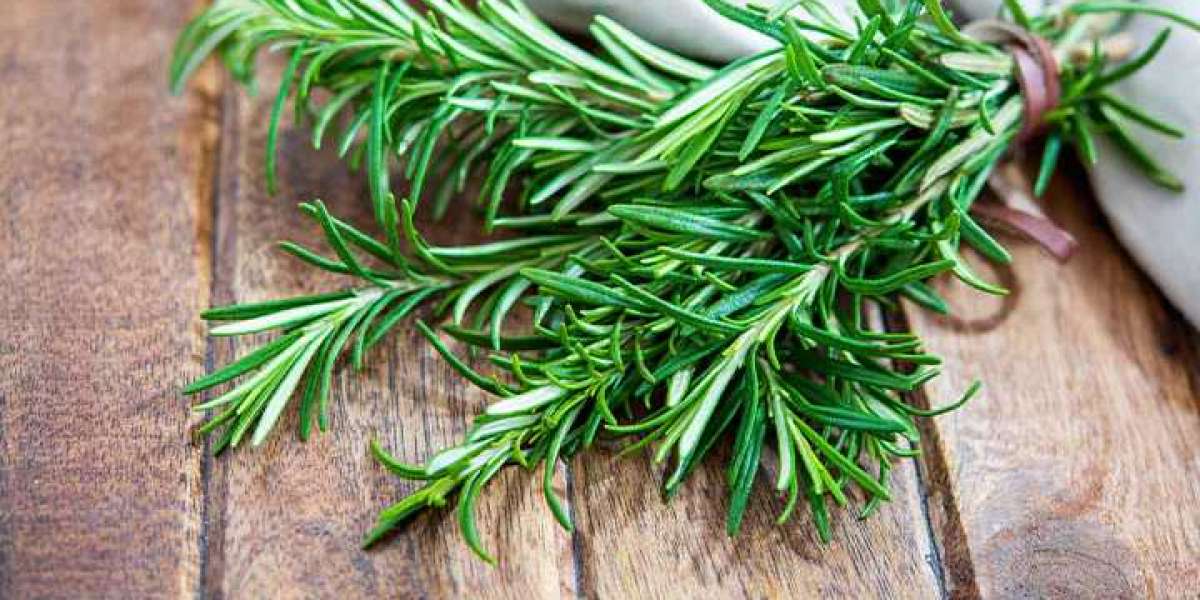 Do you know what rosemary is?