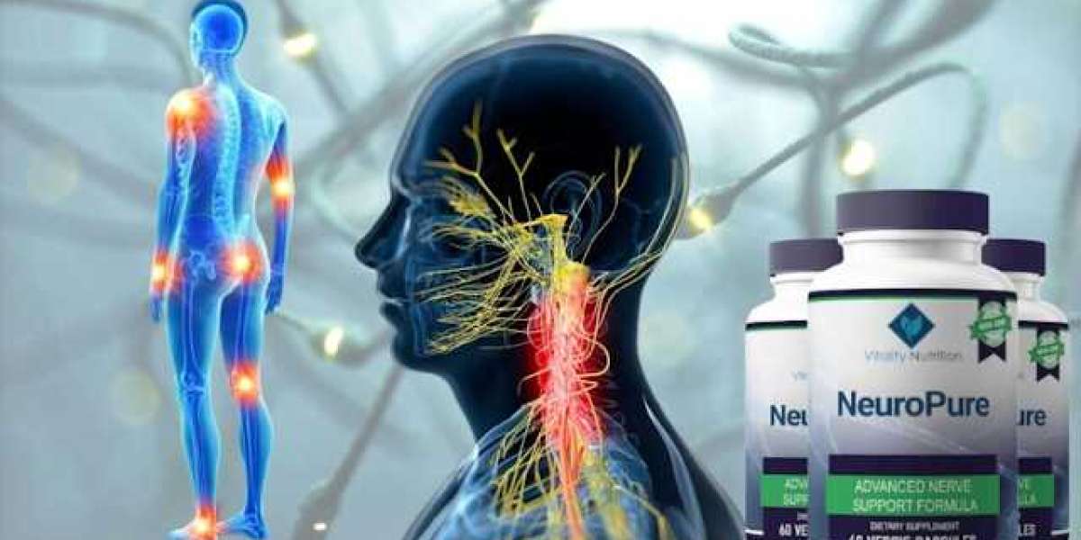 Neuro Pure Premier Vitality: How Can You Use It? Request Now In USA!