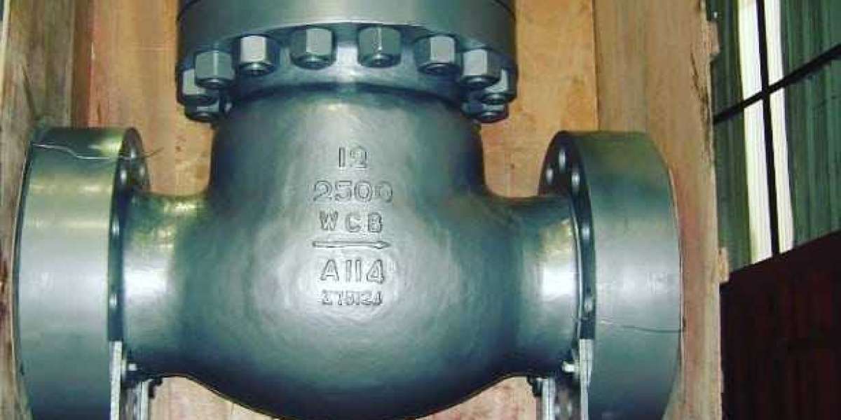 Check Valve Supplier in Tunisia