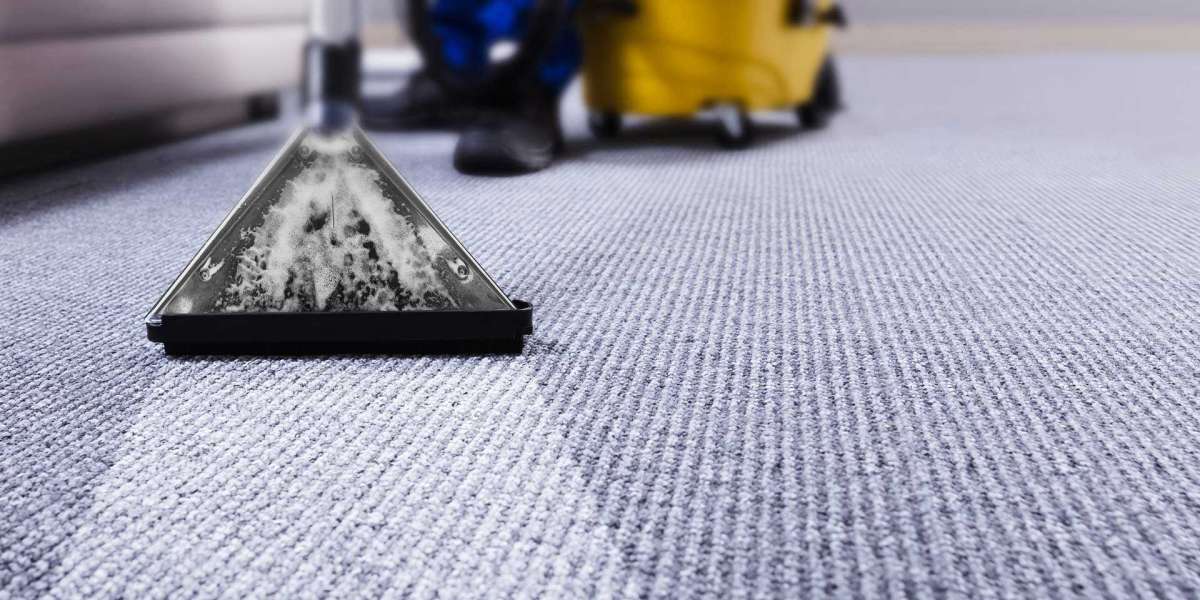 How Professional Carpet Cleaning Services Can Elevate Your Home