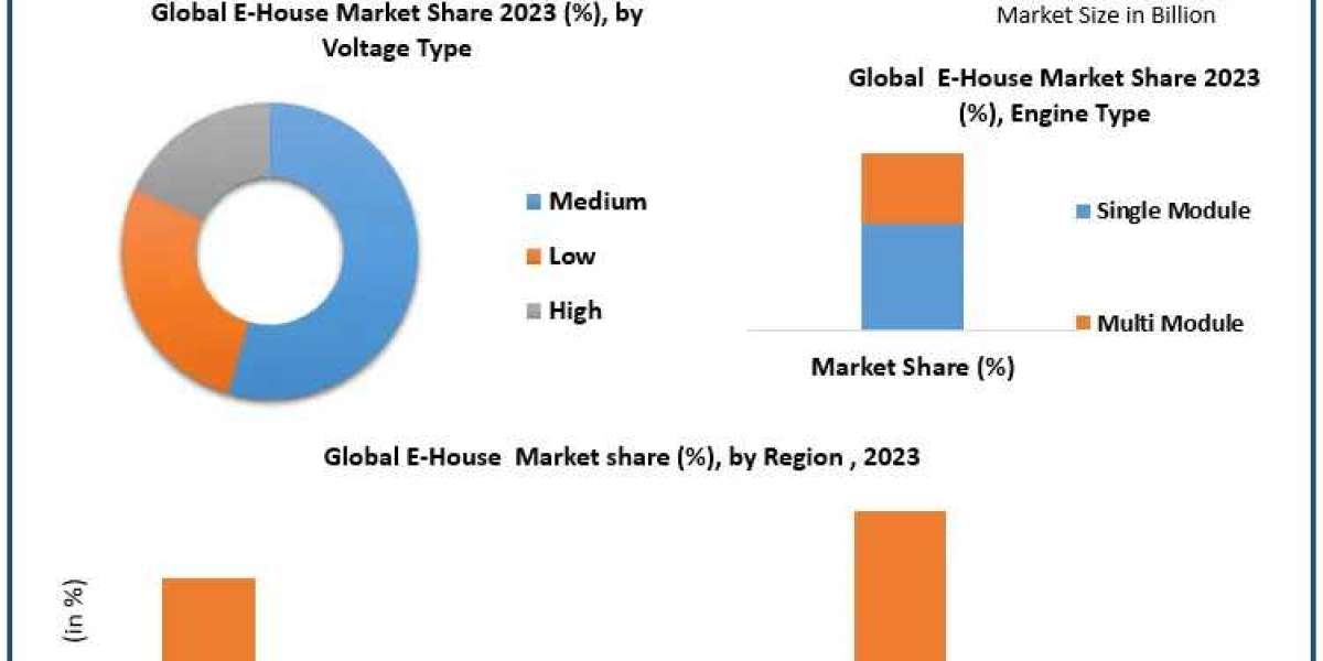 E-House Market Sector Analysis, Size, Primary Factors, and Future Trends