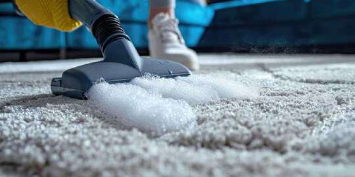 Elevate Your Home with Professional Carpet Cleaning Services