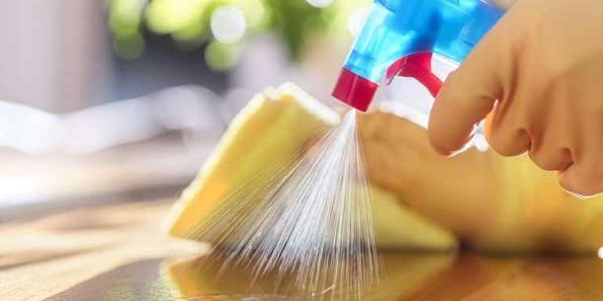 Hospital Disinfectant Products & Services Market Key Players, Share & Forecast Report to 2032