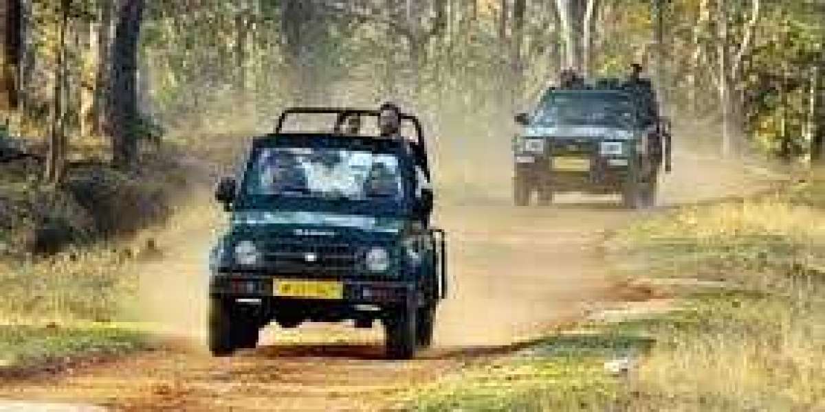 Tadoba jungle camp