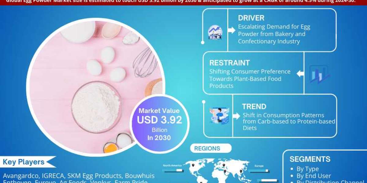 Egg Powder Market 2024-2030 | Size, Demand, Key Players, Growth and Forecast – MarkNtel