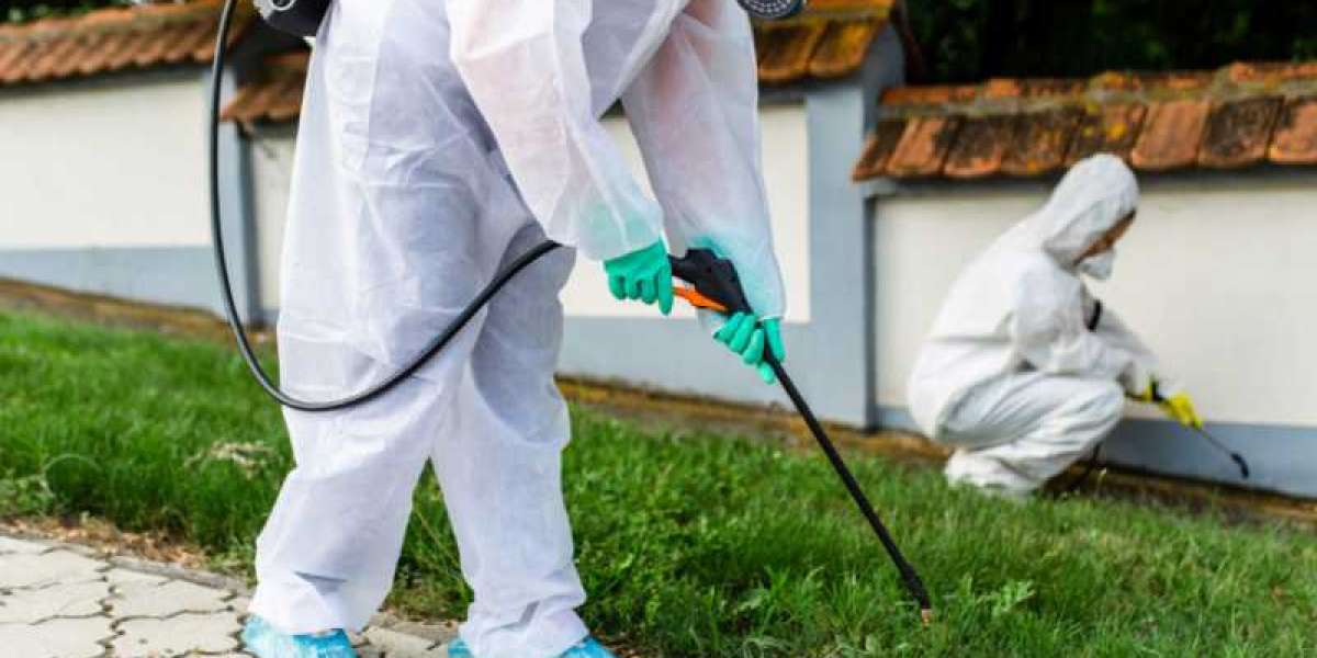 Ensuring Safety and Well-Being: Montgomery County Texas Animal Control and Willis Pest Control