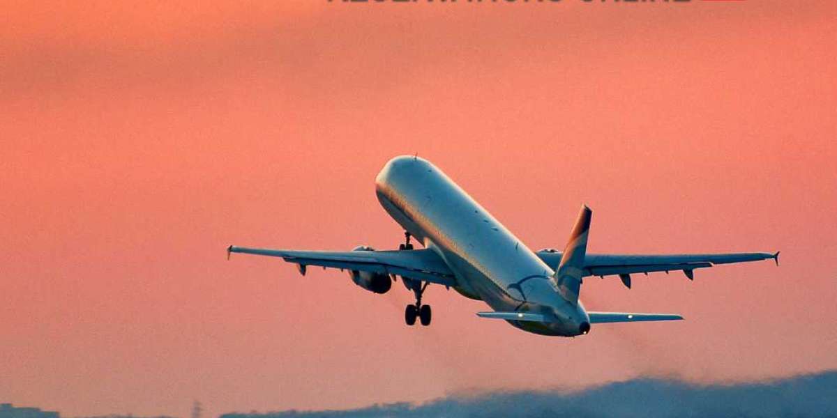 Mastering the Art of Online Airline Reservations for Every Traveler