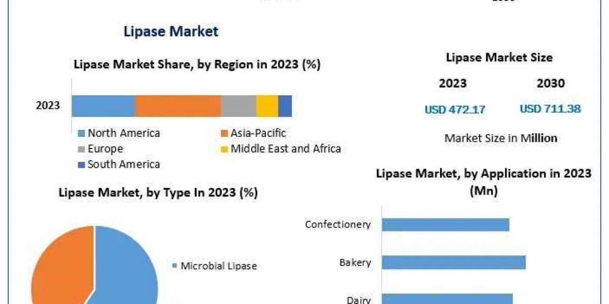 Lipase Market Business Trends, Challenges, and Opportunities