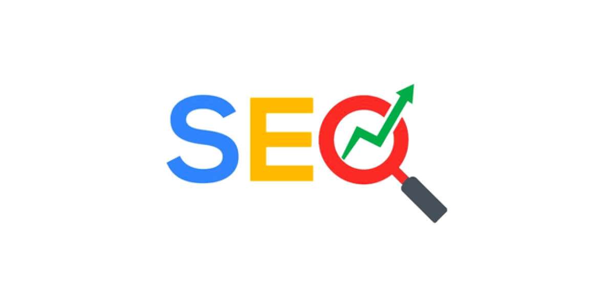 Seo expert india