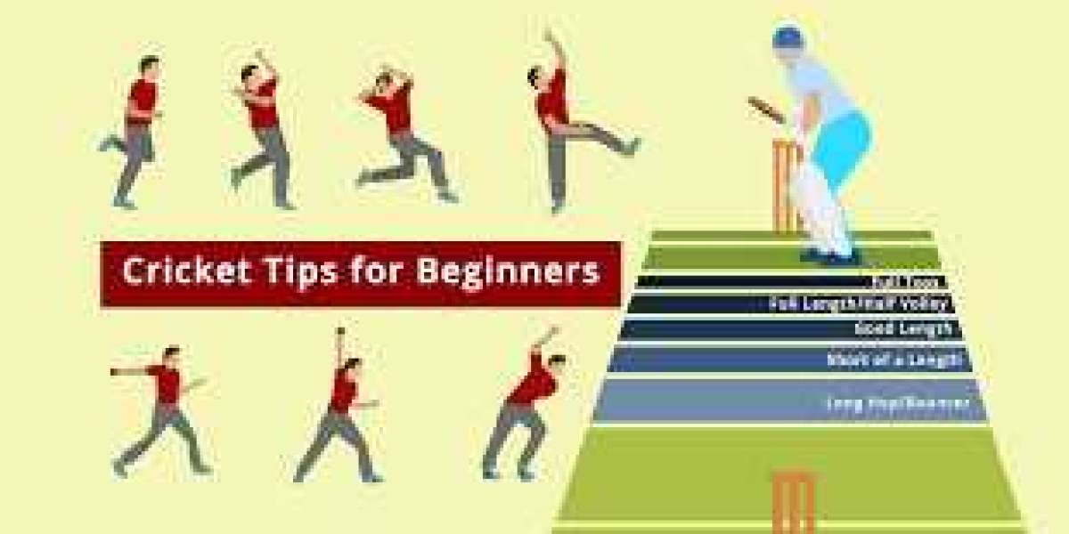 Top 5 Cricket Betting Strategies for Beginners with Cric-Tips.online