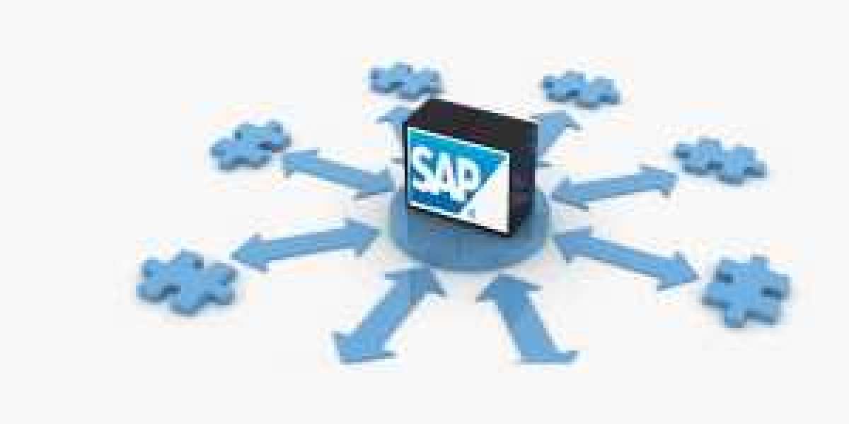 How SAP Skills Can Give You an Edge in a Competitive Job Market