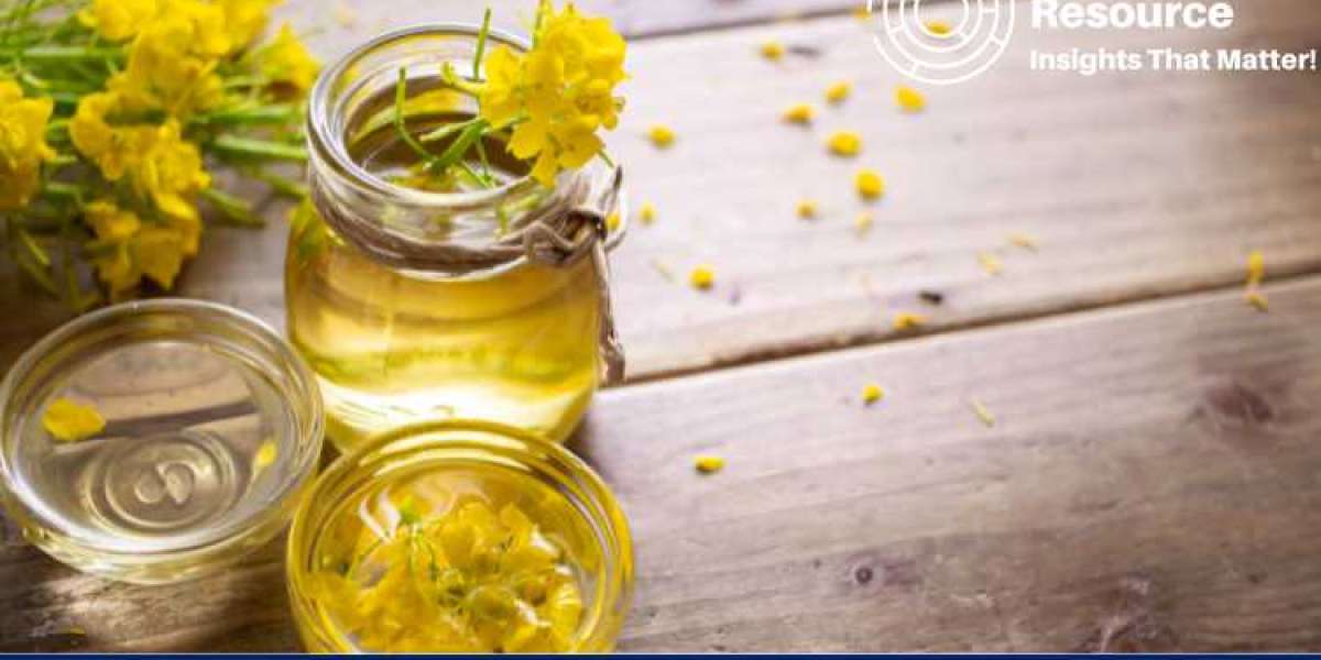 Rapeseed Oil Price Trend: A Comprehensive Overview of Market Shifts and Future Predictions