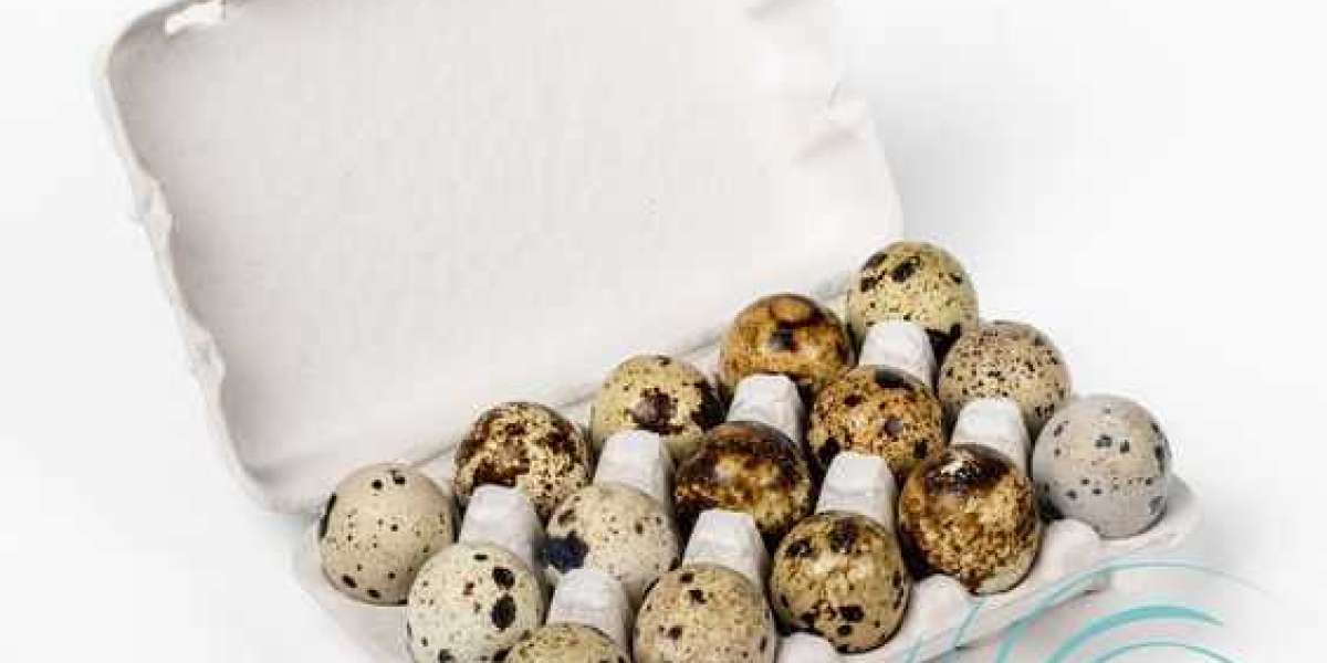 Poultry Cartons provides innovative pulp egg cartons for green farms